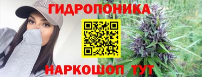 spice Шелехов