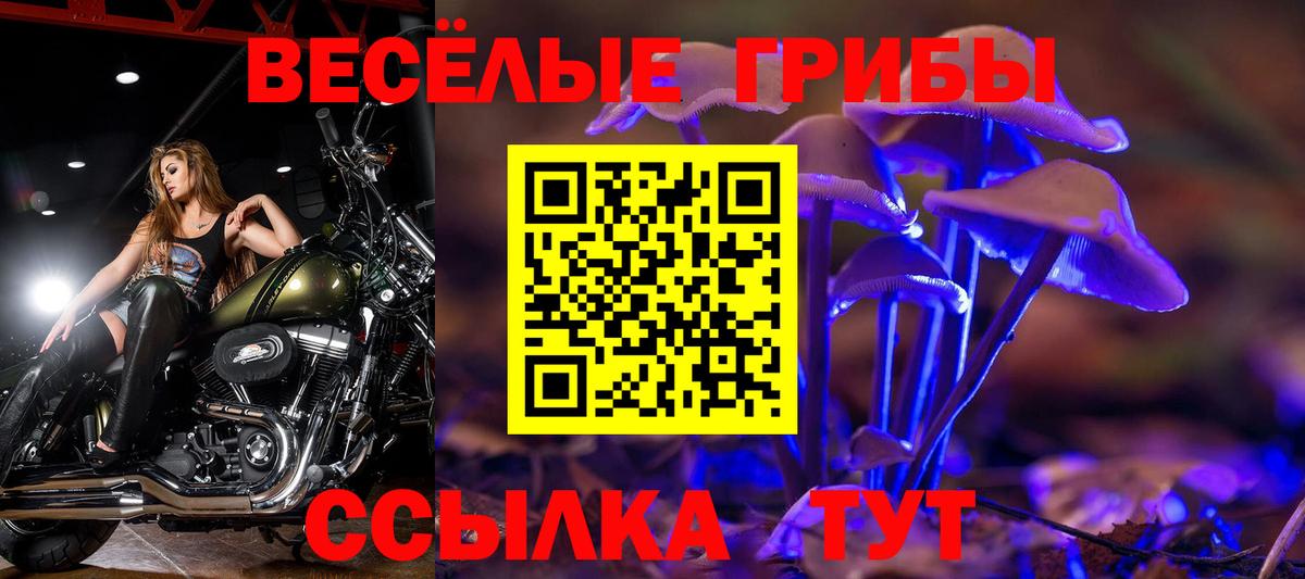 Асино  Псилоцибиновые грибы Psilocybine cubensis  Галлюциногенные грибы GOLDEN TEACHER  купить наркотики цена  Вход с VPN 