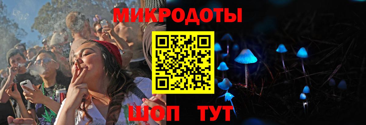 Псилоцибиновые грибы Cubensis Асино